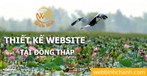 Thiết kế Website tại tỉnh Đồng Tháp