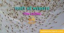 Thiết kế Website Tôm giống, Bán tôm giống, các sản phẩm nuôi tôm giống